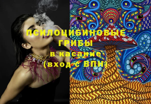 мдпв Вязники